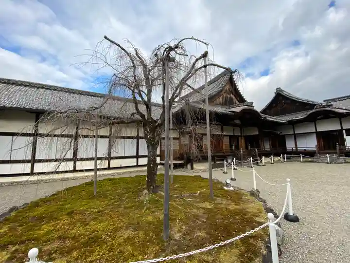 醍醐寺(上醍醐)(京都府)