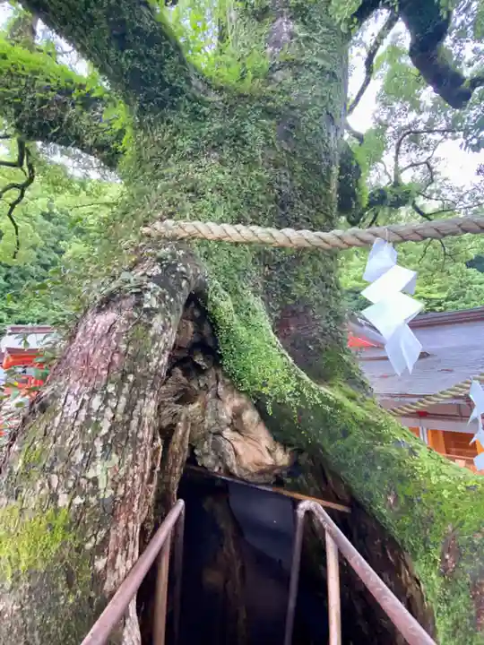 熊野那智大社(和歌山県)