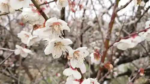 観音堂（粟倉）(静岡県)