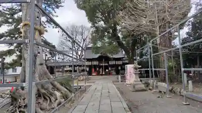 縣神社の本殿・本堂