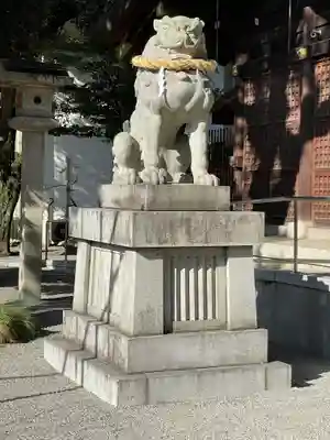 兵庫縣姫路護國神社の狛犬