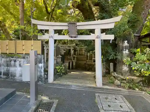 五社之瀧神社(京都府)