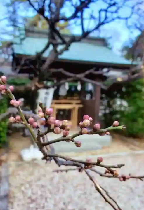 布多天神社(東京都)