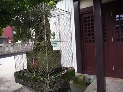 鷺之森稲荷神社の狛犬