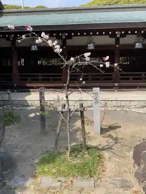 真清田神社(愛知県)