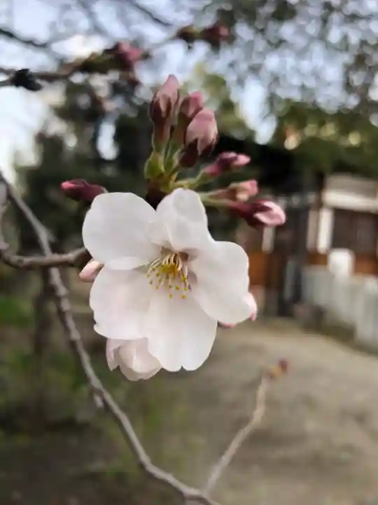 産土神社(大阪府)