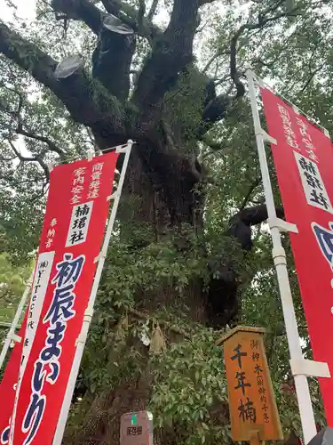 住吉大社(大阪府)