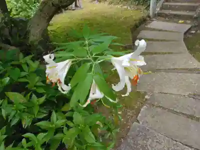真福寺(神奈川県)