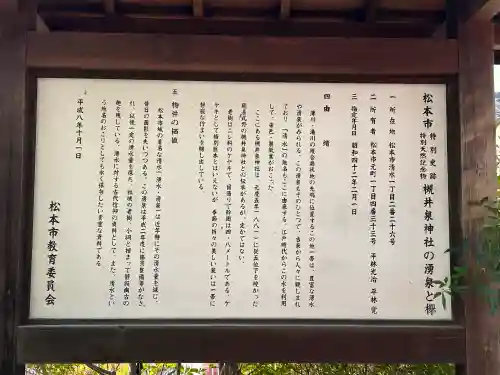 槻井泉神社(長野県)
