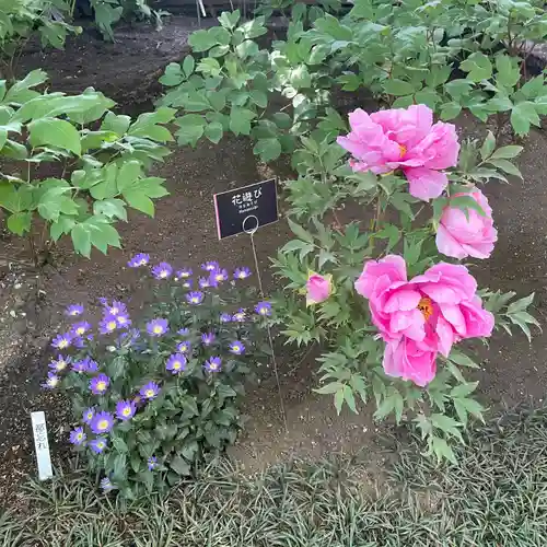 上野東照宮(東京都)