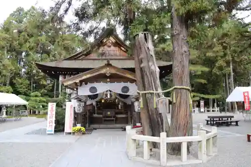 建部大社の本殿・本堂