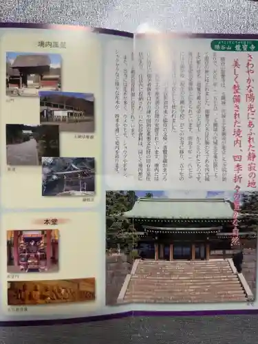 龍寳寺（龍宝寺）の{uncategorized: "未分類", other: "その他", undefined: "問題あり", building: "その他建物", grave: "お墓", sacred_gate: "鳥居", guardian: "狛犬", statue: "像", buddha: "仏像", history: "歴史", nature: "自然", garden: "庭園", animal: "動物", pagoda: "塔", temizu: "手水舎", mountain_gate: "山門・神門", sanctuary: "本殿・本堂", subordinate: "末社・摂社", art: "芸術", scenery: "景色", jizo: "地蔵", ema: "絵馬", goshuin: "御朱印", omikuji: "おみくじ", items: "授与品その他", amulet: "お守り", goshuincho: "御朱印帳", eats: "食事", festival: "お祭り", votive_dance: "神楽", shichigosan: "七五三参", wedding: "結婚式", experience: "体験その他", initially: "初詣", around: "周辺", anti_infection: "感染症対策"}