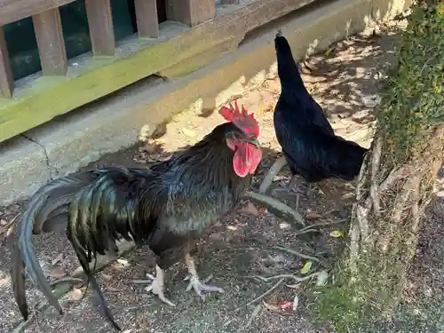 玉祖神社(山口県)