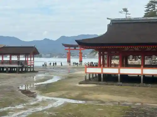 厳島神社(広島県)