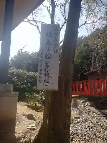 玉津島神社のその他建物