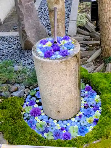 行田八幡神社の{uncategorized: "未分類", other: "その他", undefined: "問題あり", building: "その他建物", grave: "お墓", sacred_gate: "鳥居", guardian: "狛犬", statue: "像", buddha: "仏像", history: "歴史", nature: "自然", garden: "庭園", animal: "動物", pagoda: "塔", temizu: "手水舎", mountain_gate: "山門・神門", sanctuary: "本殿・本堂", subordinate: "末社・摂社", art: "芸術", scenery: "景色", jizo: "地蔵", ema: "絵馬", goshuin: "御朱印", omikuji: "おみくじ", items: "授与品その他", amulet: "お守り", goshuincho: "御朱印帳", eats: "食事", festival: "お祭り", votive_dance: "神楽", shichigosan: "七五三参", wedding: "結婚式", experience: "体験その他", initially: "初詣", around: "周辺", anti_infection: "感染症対策"}