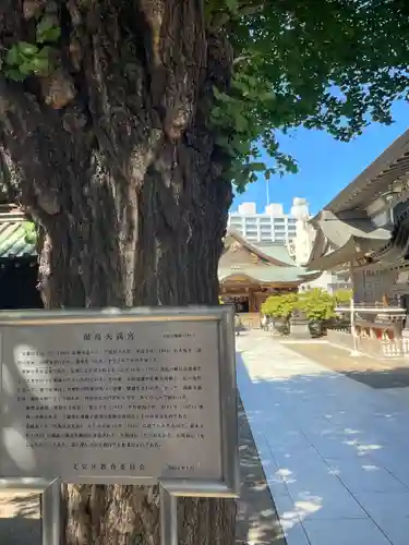 湯島天満宮(東京都)