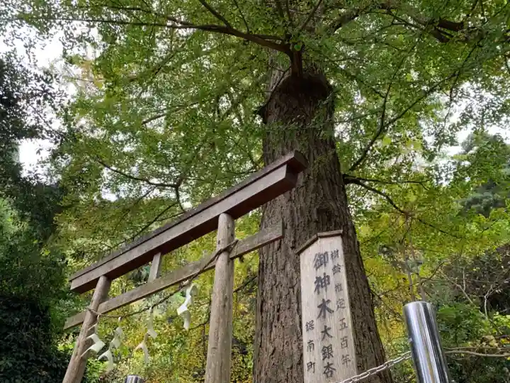 大六神社の鳥居