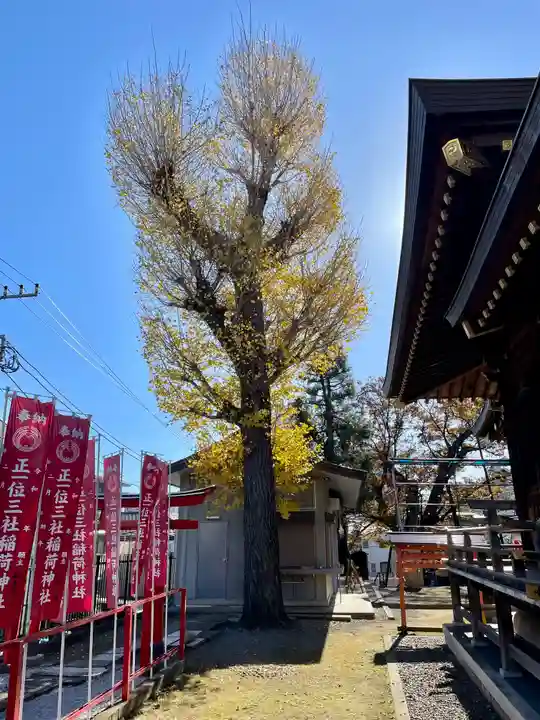 白山神社の自然