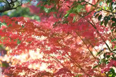 禅林寺(永観堂)(京都府)