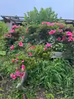 太寧寺(神奈川県)