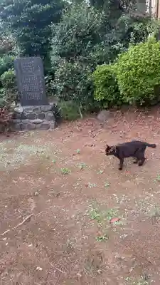 三原台稲荷神社(東京都)
