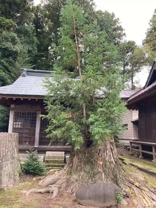 高龗神社(芦沼町)(栃木県)