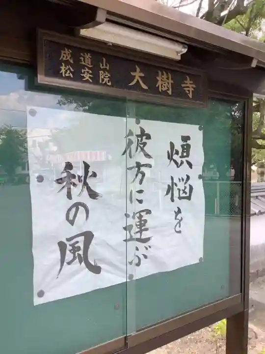 大樹寺(松安院大樹寺)のその他建物