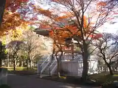 道場寺(東京都)