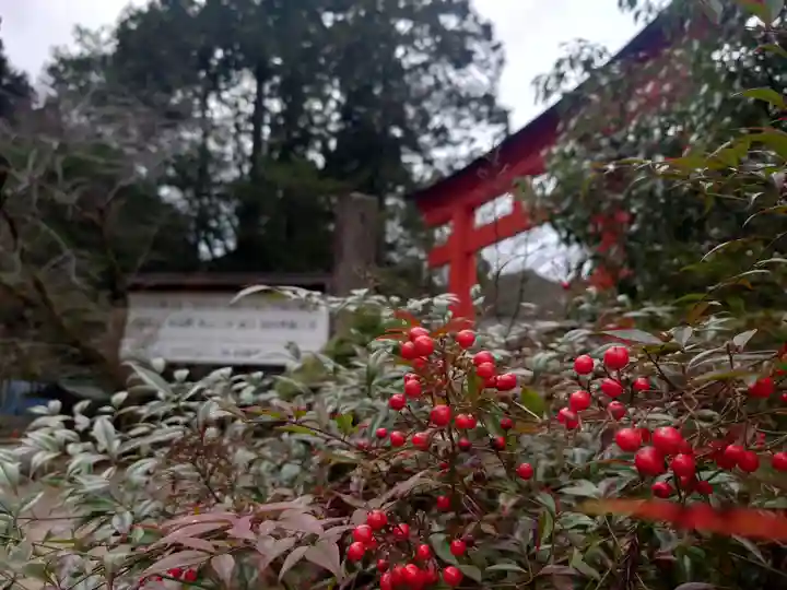 丹生川上神社(下社)(奈良県)