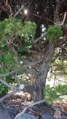 八龍社(稲島)のその他建物