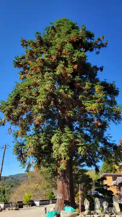 常福寺(三重県)