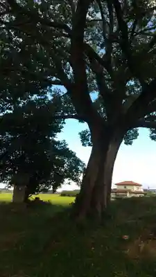 祠(名称不明)(茨城県)