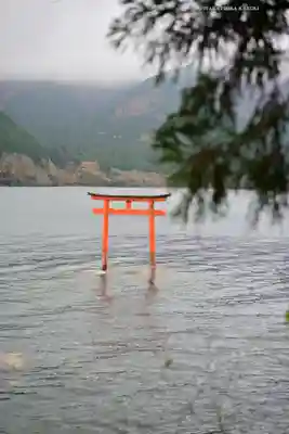 九頭龍神社本宮(神奈川県)