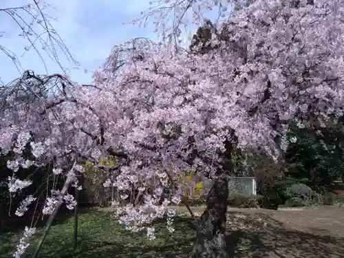 蒲生神社(栃木県)