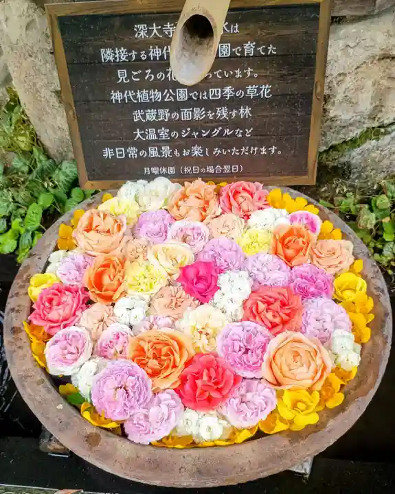深大寺(東京都)