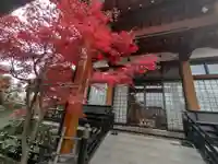 妙玄寺の本殿・本堂