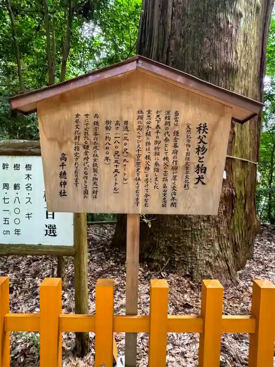 高千穂神社(宮崎県)