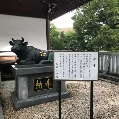 加納天満宮の狛犬