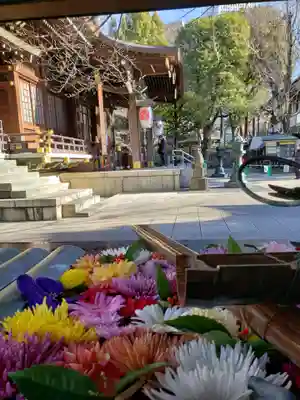 熊野神社の手水舎