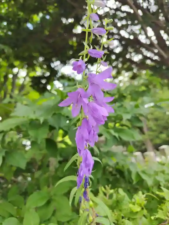 厚別神社(北海道)