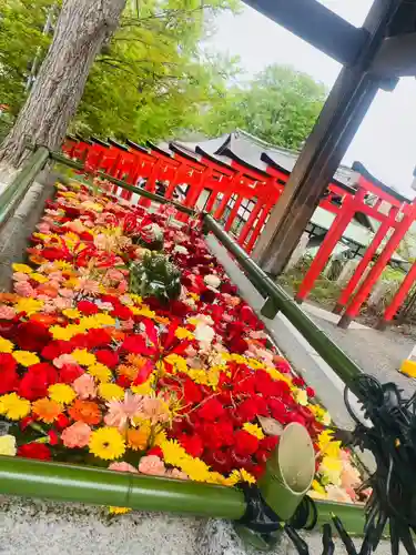 住吉神社の手水