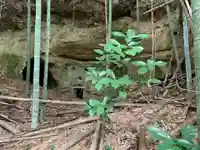 嶺根寺(千葉県)