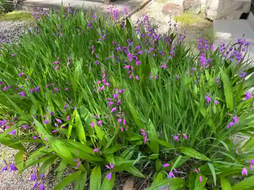 小野寺(岐阜県)