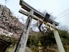 玉作湯神社(島根県)