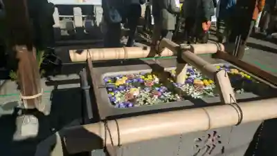 深川神明宮の{uncategorized: "未分類", other: "その他", undefined: "問題あり", building: "その他建物", grave: "お墓", sacred_gate: "鳥居", guardian: "狛犬", statue: "像", buddha: "仏像", history: "歴史", nature: "自然", garden: "庭園", animal: "動物", pagoda: "塔", temizu: "手水舎", mountain_gate: "山門・神門", sanctuary: "本殿・本堂", subordinate: "末社・摂社", art: "芸術", scenery: "景色", jizo: "地蔵", ema: "絵馬", goshuin: "御朱印", omikuji: "おみくじ", items: "授与品その他", amulet: "お守り", goshuincho: "御朱印帳", eats: "食事", festival: "お祭り", votive_dance: "神楽", shichigosan: "七五三参", wedding: "結婚式", experience: "体験その他", initially: "初詣", around: "周辺", anti_infection: "感染症対策"}