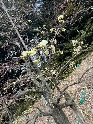 大縣神社(愛知県)