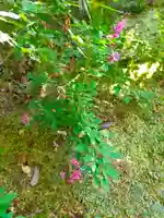 秋篠寺(奈良県)