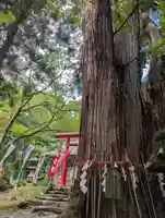 磐椅神社(福島県)
