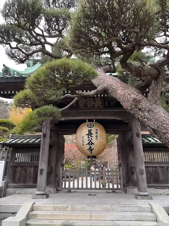 長谷寺の山門・神門